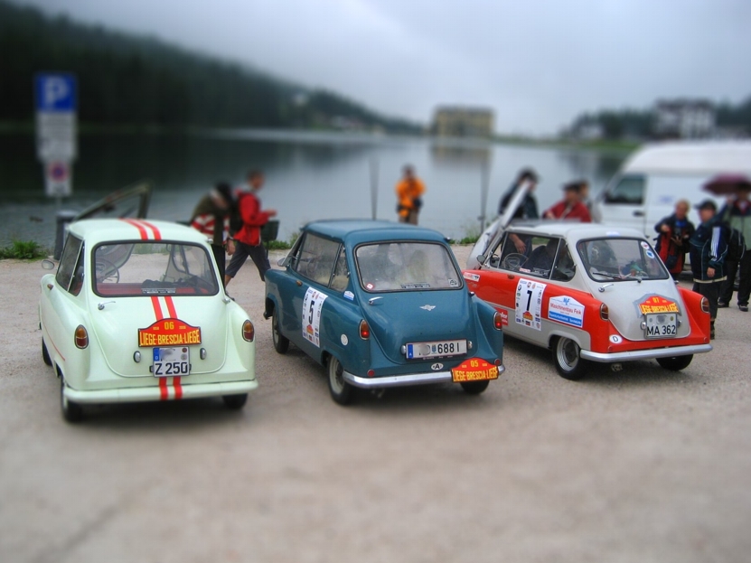 3_Rally_Janus